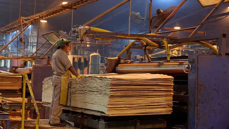 Compra de acciones: cambio de manos en el control de Celulosa Argentina