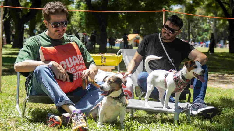Mascotear 2025: el “Lollapalooza” para perros y gatos vuelve a Palermo