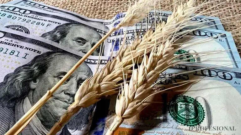 Retenciones: cámo funciona el carry sojero