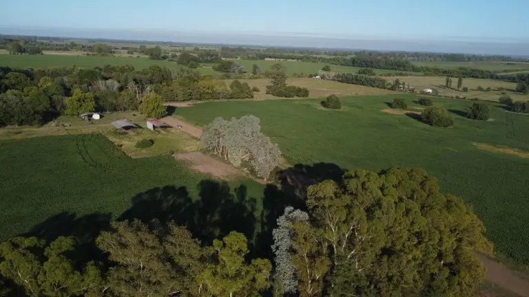 Para inversores y familias: qué ofrecen los nuevos barrios deportivos premium de Cardales