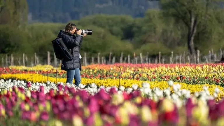 Ideal para este finde largo: el pueblito del interior que la rompe en esta época del año