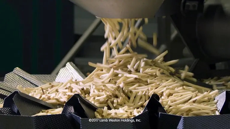 Papas fritas con tecnología de punta: así es la millonaria fábrica de Lamb Weston en Mar del Plata