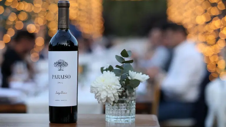 ¿Cómo se hace un vino de clase mundial?: esta bodega lo revela con su ícono