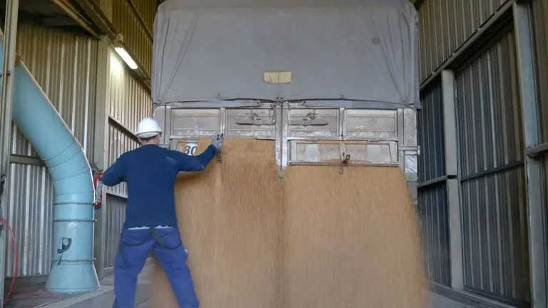 Las exportaciones agroindustriales tuvieron el mejor septiembre en cuatro años