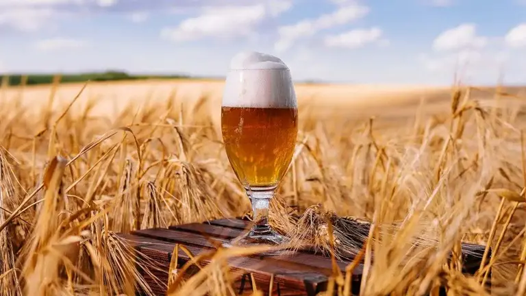Un gigante del agro vendió parte de su negocio, clave para la elaboración de cervezas de calidad