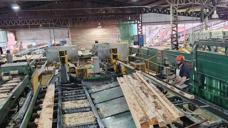 El corazón forestal de Argentina, en crisis: se aceleran cierres de empresas y suspensiones de personal