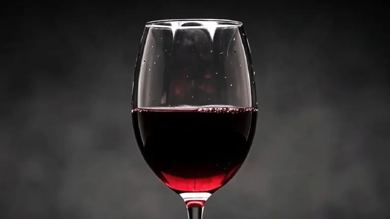 Un malbec argentino reconocido a nivel internacional que se consigue por menos de $20.000