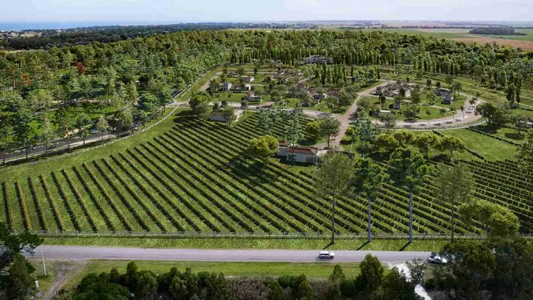 Cuánto cuesta un lote en el inédito desarrollo inmobiliario de la Costa que combina vinos y mar