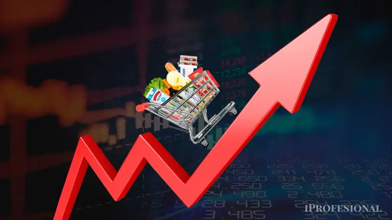 Efecto tarifas y suba de la carne: los rubros que impulsaron la inflación de febrero