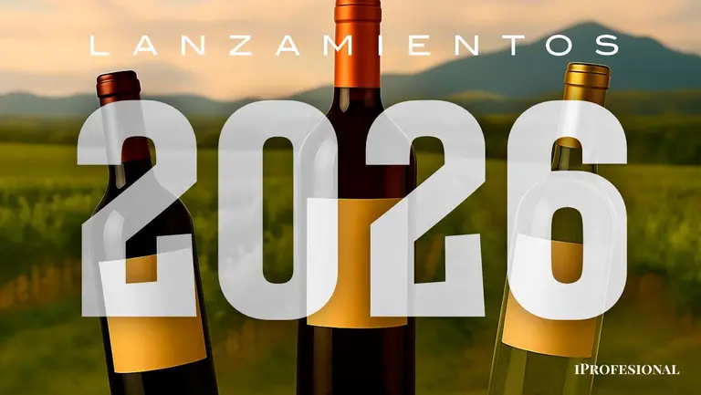 Estos son los mejores nuevos vinos argentinos que hay que probar en 2026