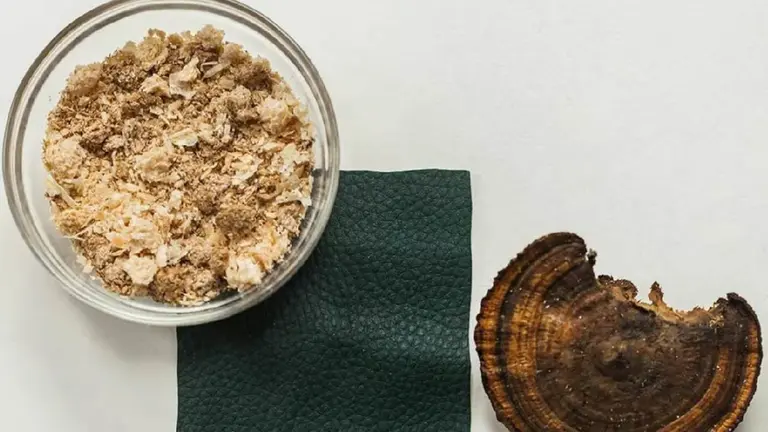 Es argentino y creó algo inédito: productos de cuero ecológíco con los desechos de la elaboración de cerveza