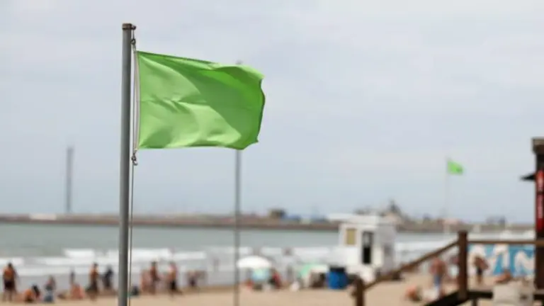 Ni mar calmo ni prohibido: qué significa la extraña bandera verde que apareció en la playa