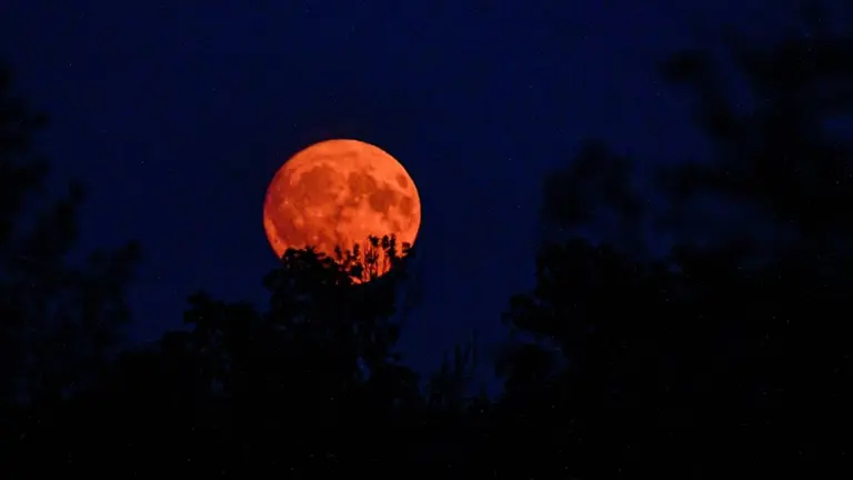 La Luna se teñirá de rojo y se podrá ver desde Argentina: qué día será el eclipse total