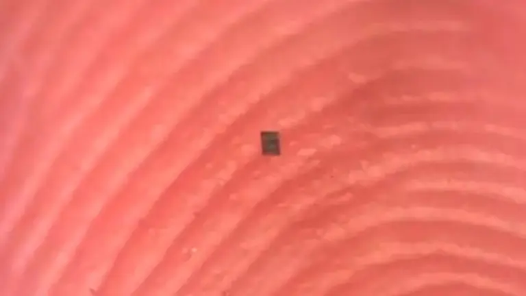 Presentaron el robot más chico del mundo y piensan que puede revolucionar la medicina