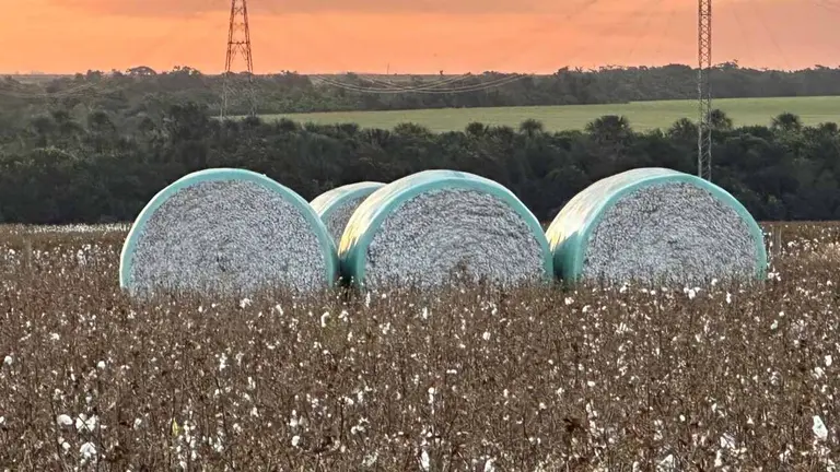 Otra importante empresa agropecuaria se encuentra al borde del default y busca las alternativas para sobrevivir