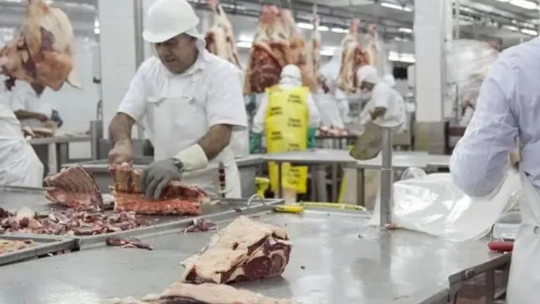 Histórico frigorífico en crisis: echó a casi 200 personas y tiene una deuda millonaria