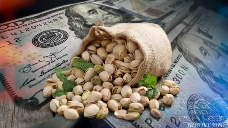 Se puede ganar plata con el boom del chocolate Dubai: inversión en pistacho rinde hasta 20% anual en dólares