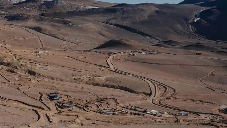 Vicuña