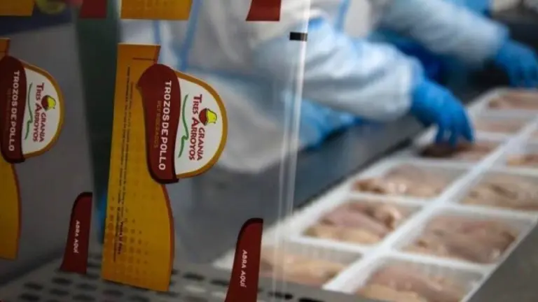 Cómo el gigante argentino del pollo pasó de exportar a 60 países a no poder pagar sueldos