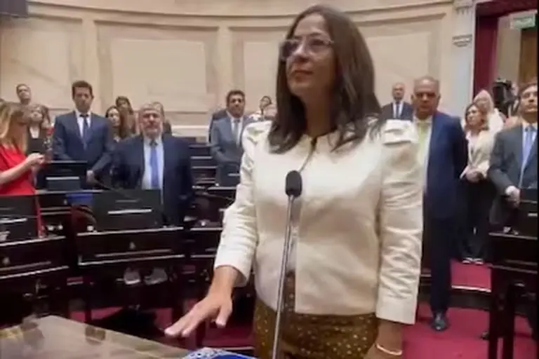 Moisés apuntó contra La Cámpora y a Cristina tras asumir como vicepresidenta del Senado: "Son parte del problema"