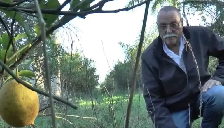 Un productor citrícola pidió un tractor a China y reavivó el debate: "En China vale 11.200 dólares y acá 50.000"