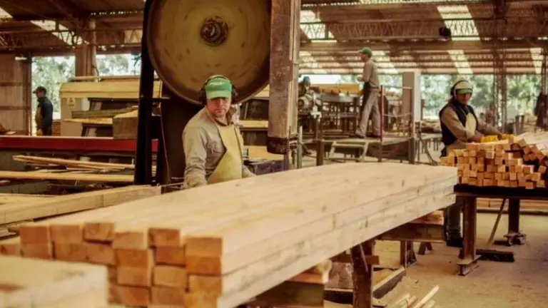 Gigante de la madera en crisis: la planta está paralizada, empleados cobran el 60% del sueldo y endurecen protestas