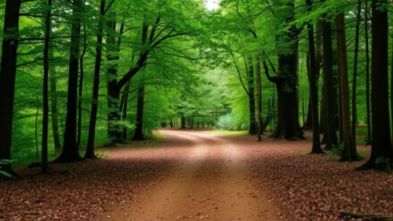 A 50 km de CABA: la Reserva Puertos Escobar, el plan gratis con lagunas para el próximo feriado