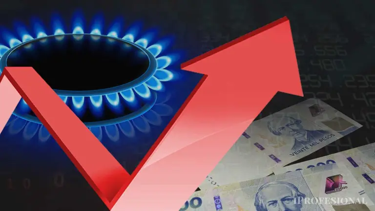El Gobierno avanza con la reforma de Zonas Frías en Diputados: qué localidades perderán subsidios al gas