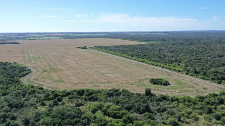 Justicia de Entre Ríos confirmó que avanzará con la demanda contra Uruguay y una compañía chilena