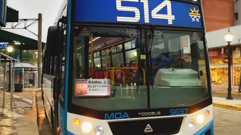 colectivo