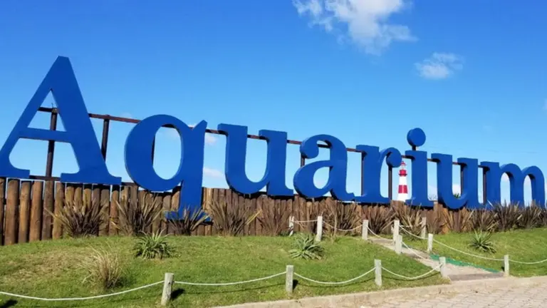 Fin de una era: decretaron la quiebra del Aquarium de Mar del Plata y hay más de 60 animales en un limbo judicial