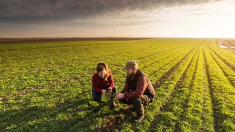 El plan de Arcor y Danone para convertir a Mastellone en el referente de la «economía verde»