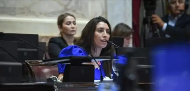 Denuncias falsas en violencia de género: Unión por la Patria se opuso a la iniciativa de Carolina Losada