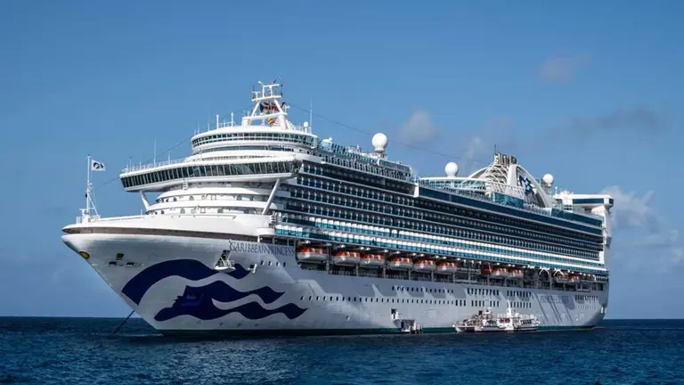Alerta sanitaria en un crucero: más de 100 pasajeros se contagiaron de norovirus en Florida