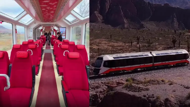 Ideal para vacaciones de invierno: cuánto cuesta el tren panorámico con tremendos paisajes