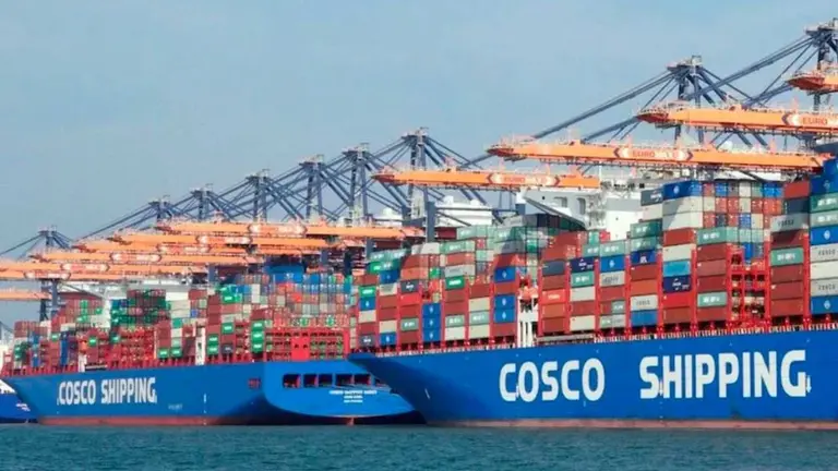 La mega naviera china Cosco genera roces dentro del gabinete de Milei