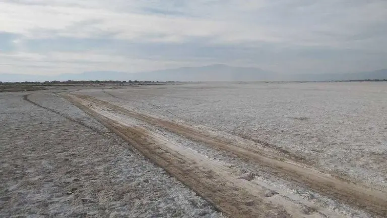 Oro blanco: se acelera la carrera del litio en un proyecto gigante de 20.000 hectáreas
