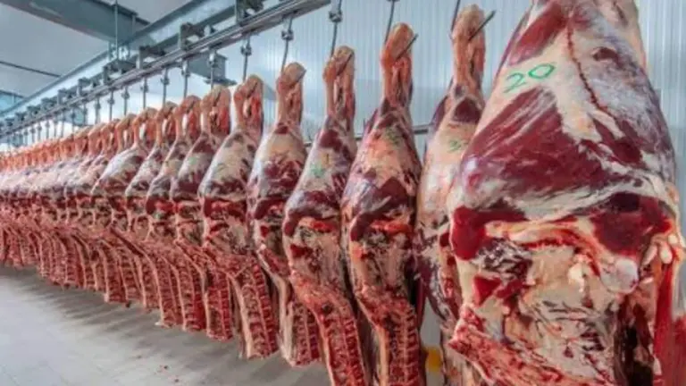 carne