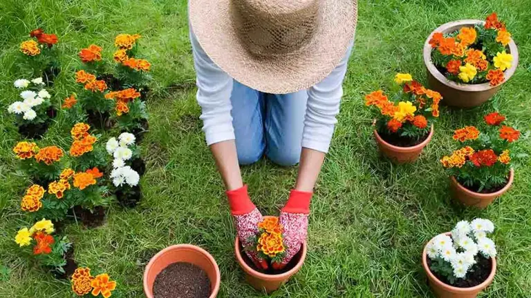 Asocian a la jardinería con el bienestar y una vida más saludable por estos motivos