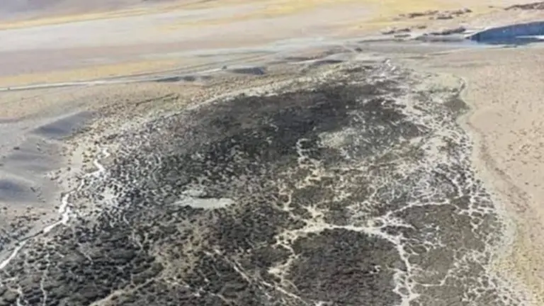La minera Livent secó un río en Catamarca y quedó impune mientras se multiplican permisos para explotar en la zona