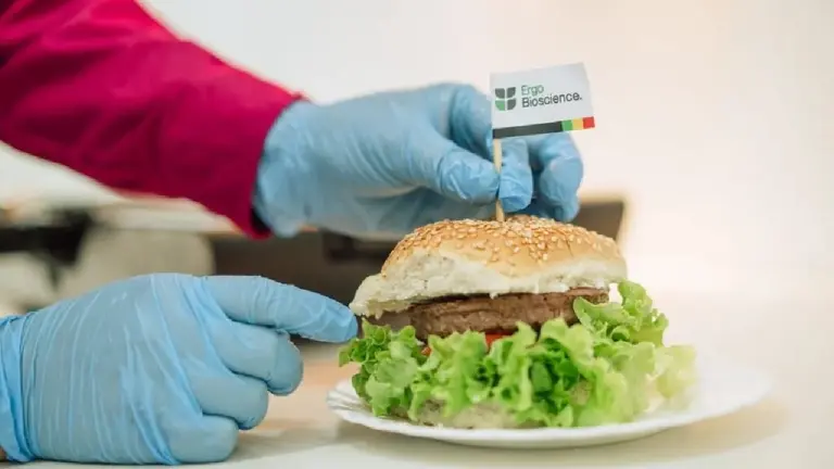 Persona con guante sponiendo un cartel de  Ergo Bioscience a una hamburguesa vegana sobre una mesa blanca