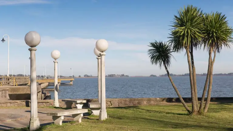Unos árboles sobre el ceped, en el costado unos focos de luz y unos bancos. De fondo, la laguna de Chascomús