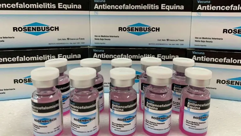 Imagen de frascos y cajas del laboratorio Rosembusch
