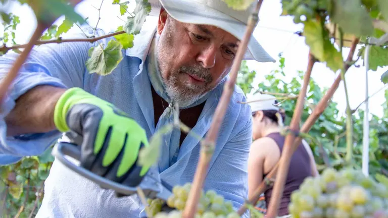 Lejos de la tele y la cocina, el trabajo de Donato De Santis en Italia