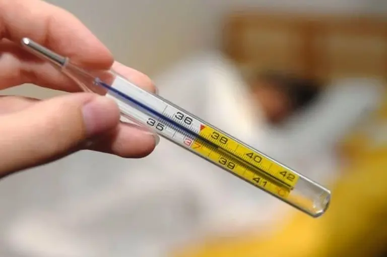 Virus de la gripe recargado: llegó el H3N2