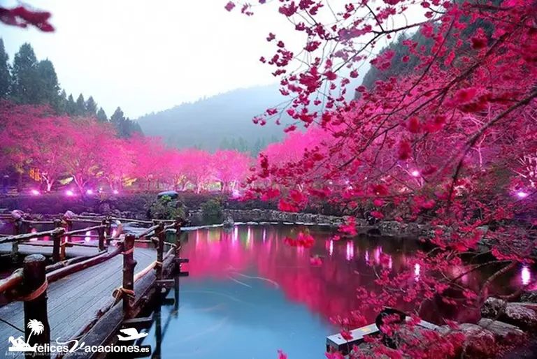 Japoneses tienen 10 días de vacaciones y no saben qué hacer con "tanto" tiempo libre