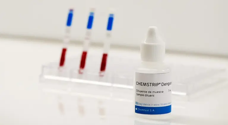 Dengue: cada vez más casos, pero ahora hay una prueba rápida que permite detectarlo