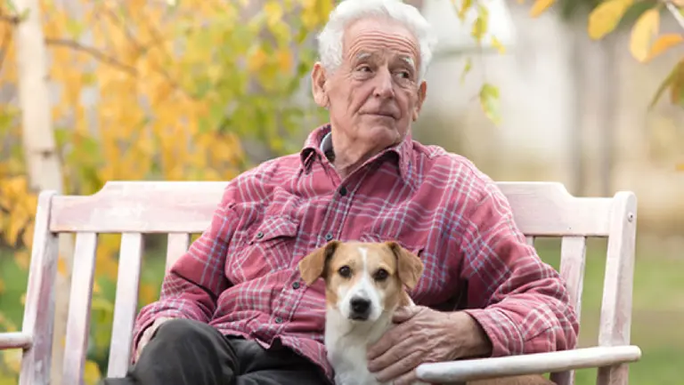 Cuál es la jubilación mínima en Argentina hoy