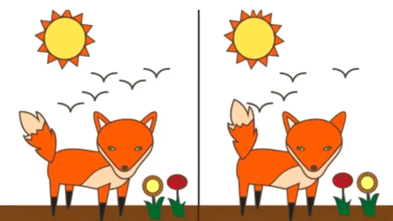 Test revelador: encontrá el error en esta imagen y descubrí cómo es tu personalidad