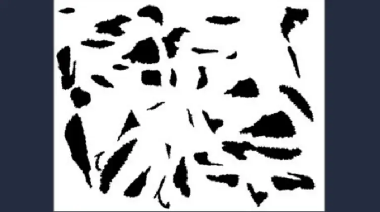 ¿Qué dibujo forman las manchas? El reto viral que pone a prueba tu visión